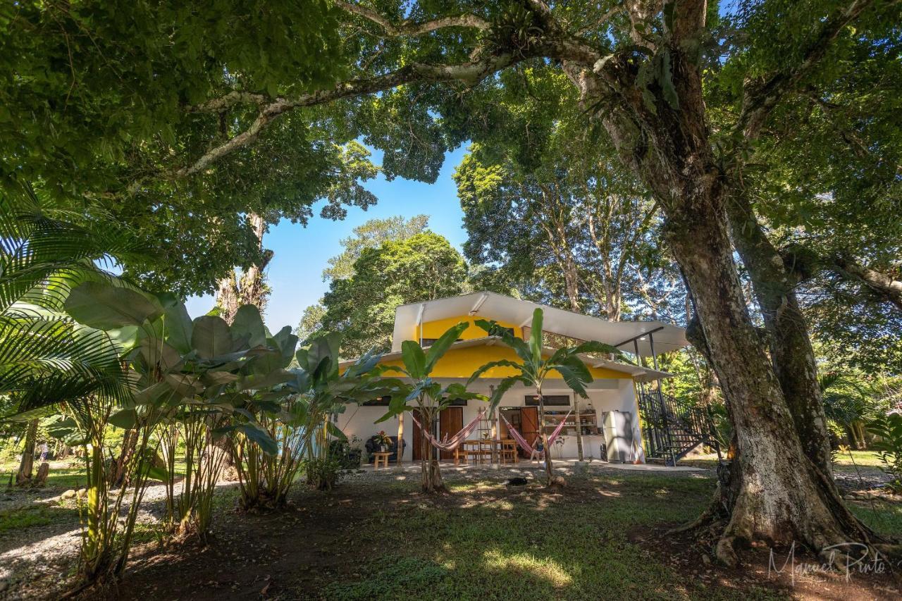 Puerto Viejo Club, Villas & Pool Puerto Viejo de Talamanca Bagian luar foto